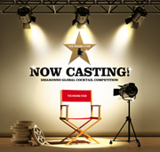 DISARONNO MIXING STAR pubblicit� casting video